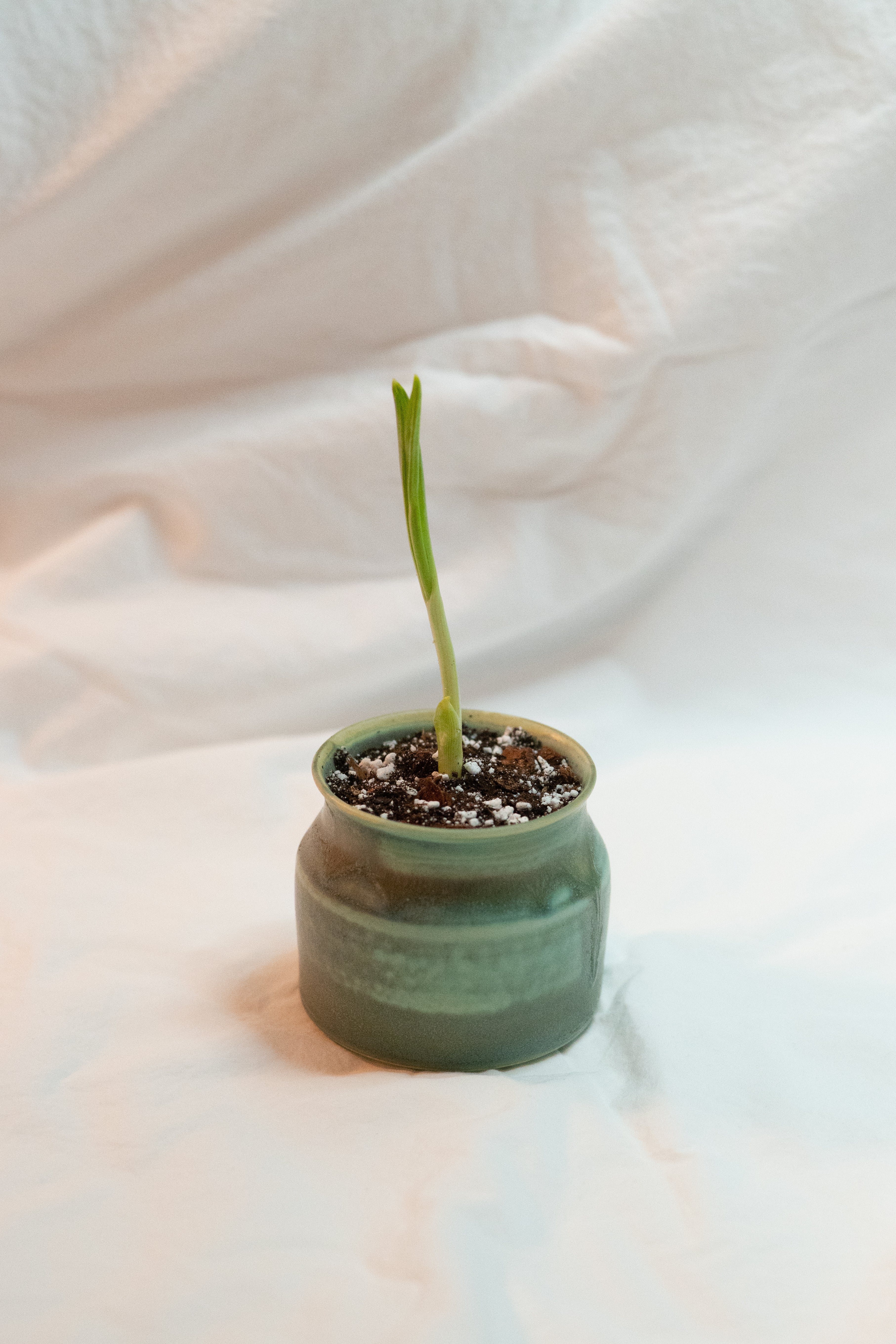 pots