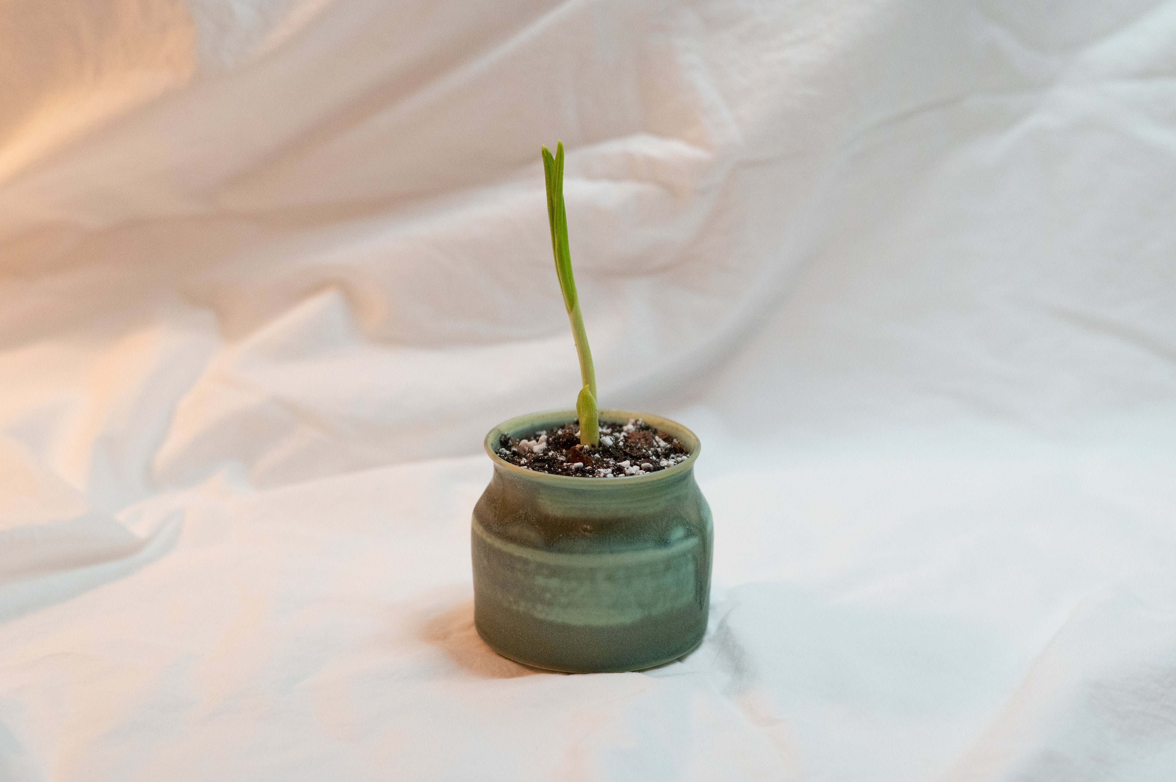 small pot