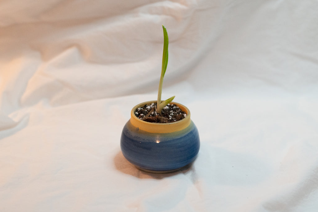 small pot