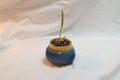small pot