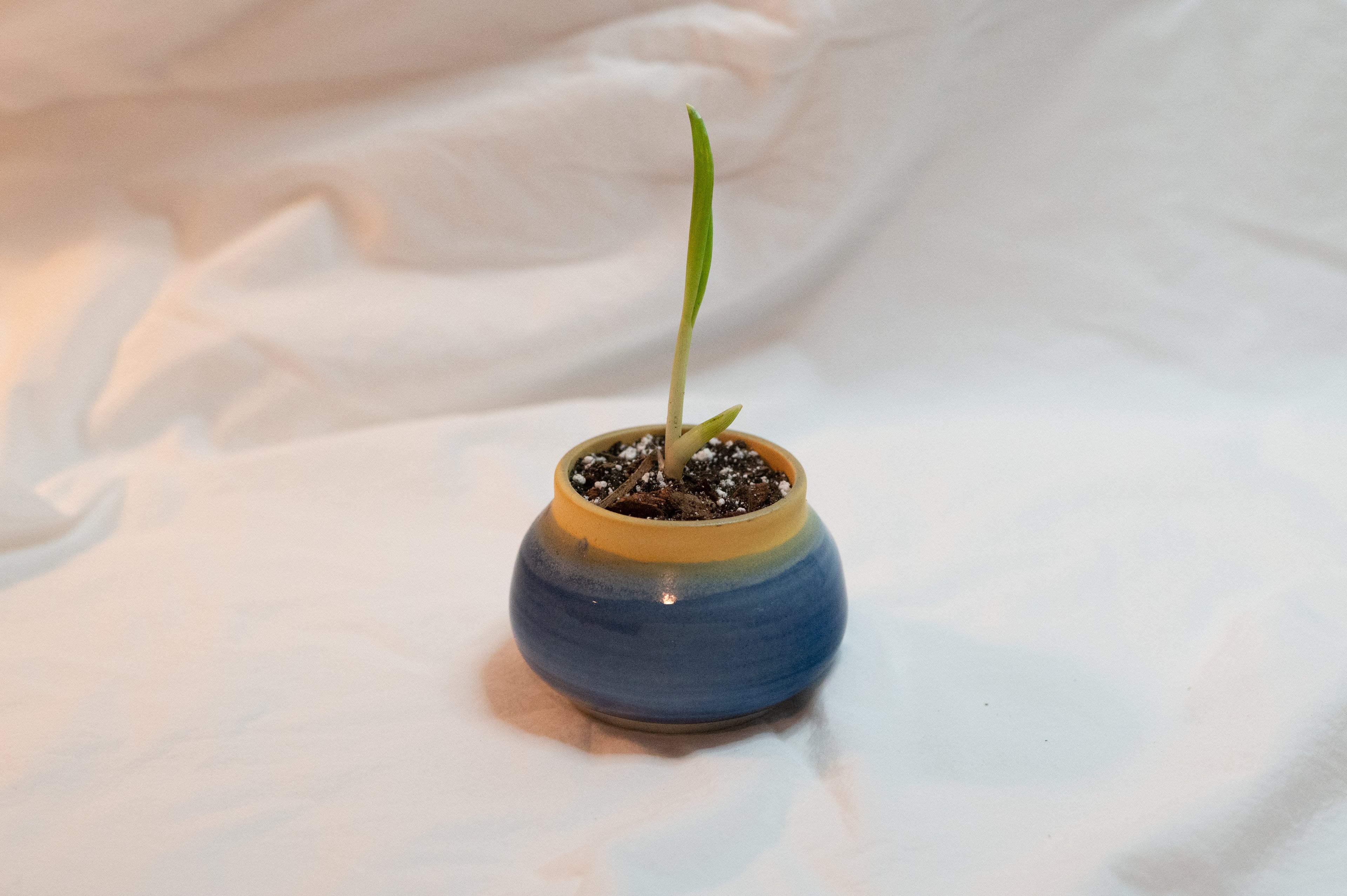 small pot