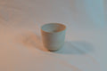 porcelain tea cup