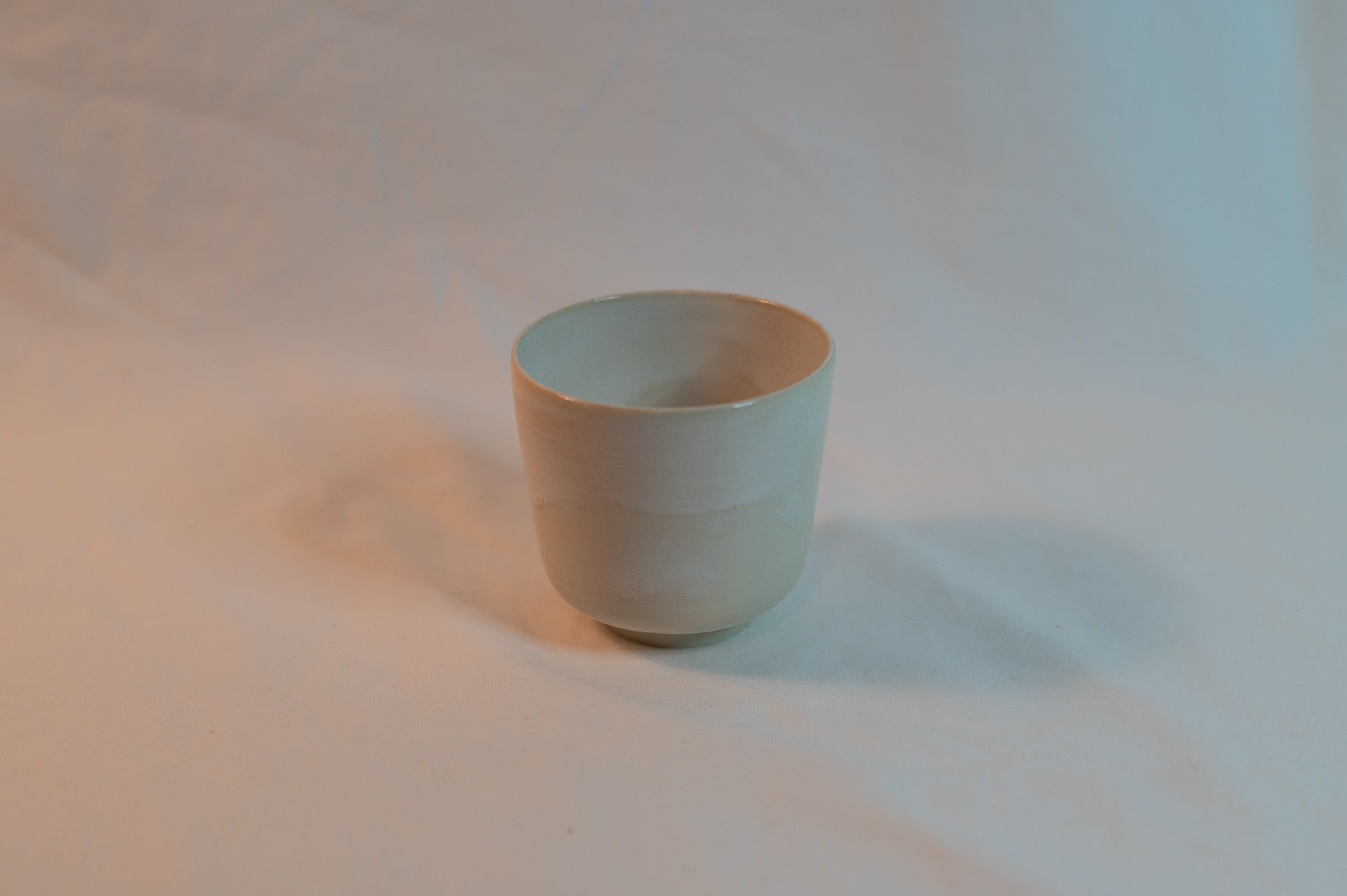 porcelain tea cup