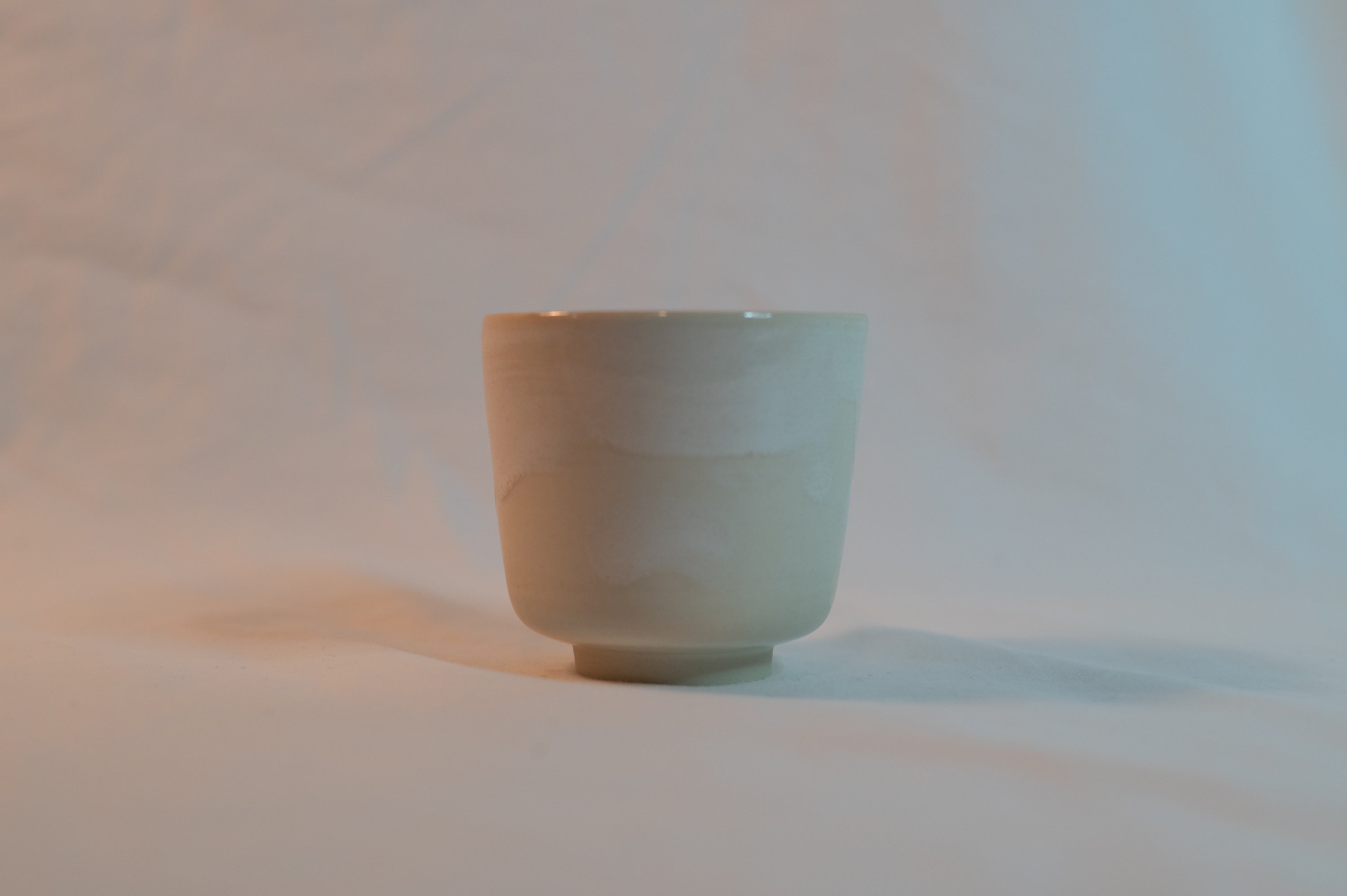 porcelain tea cup